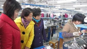 廣西賀州市僑務(wù)部門(mén)深入一線(xiàn)調(diào)研，精準(zhǔn)服務(wù)僑資企業(yè)促發(fā)展