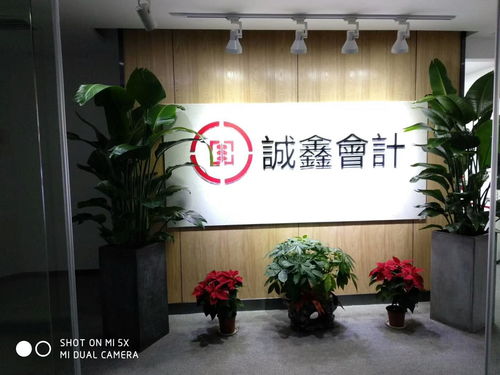 專(zhuān)業(yè)伙伴本土力量 湖南誠(chéng)鑫會(huì)計(jì)服務(wù)集團(tuán)與賀州企業(yè)服務(wù)的深度實(shí)踐
