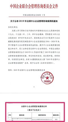 全國(guó)中小企業(yè)管理咨詢案例第一名解析 卓越管理與創(chuàng)新實(shí)踐