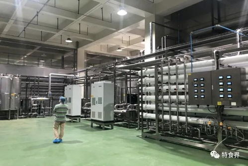 廣東實(shí)現(xiàn)保健食品生產(chǎn)企業(yè)體系檢查全覆蓋，數(shù)據(jù)處理服務(wù)助力精準(zhǔn)監(jiān)管